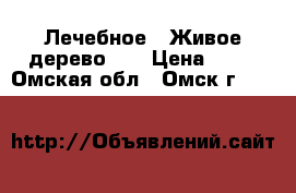 Лечебное “ Живое дерево “  › Цена ­ 50 - Омская обл., Омск г.  »    